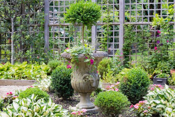 Cost of Topiary Pruning in Whittier
