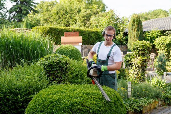 Shrubs Trimming in Whittier