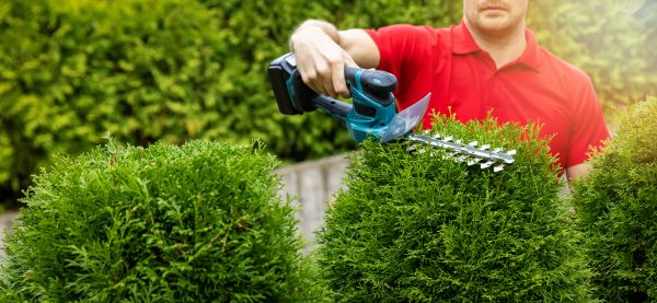 Hedge Shaping Service in Whittier
