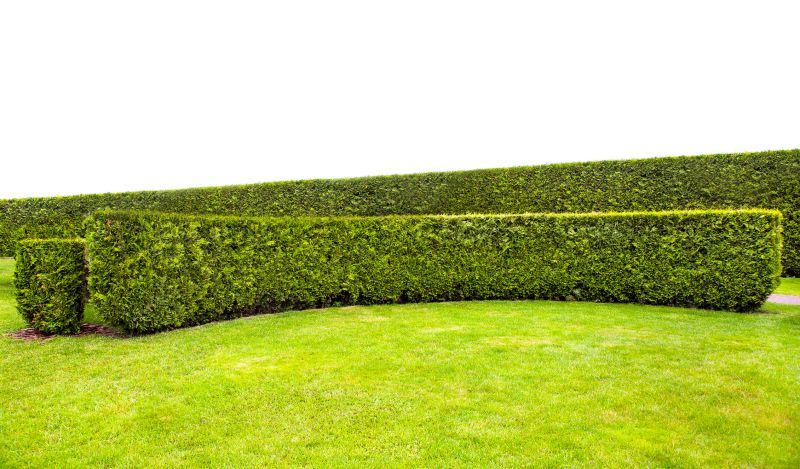 Hedge Shaping Service