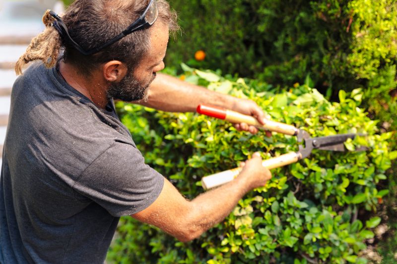 Healthy Shrub Maintenance