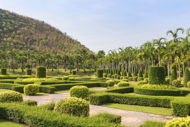 Garden with Trimmed Hedges