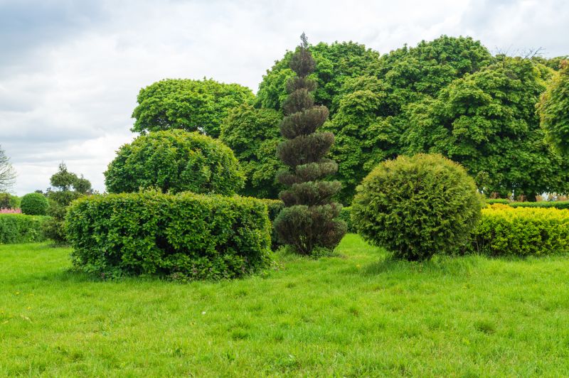 Customized Shrub Shaping